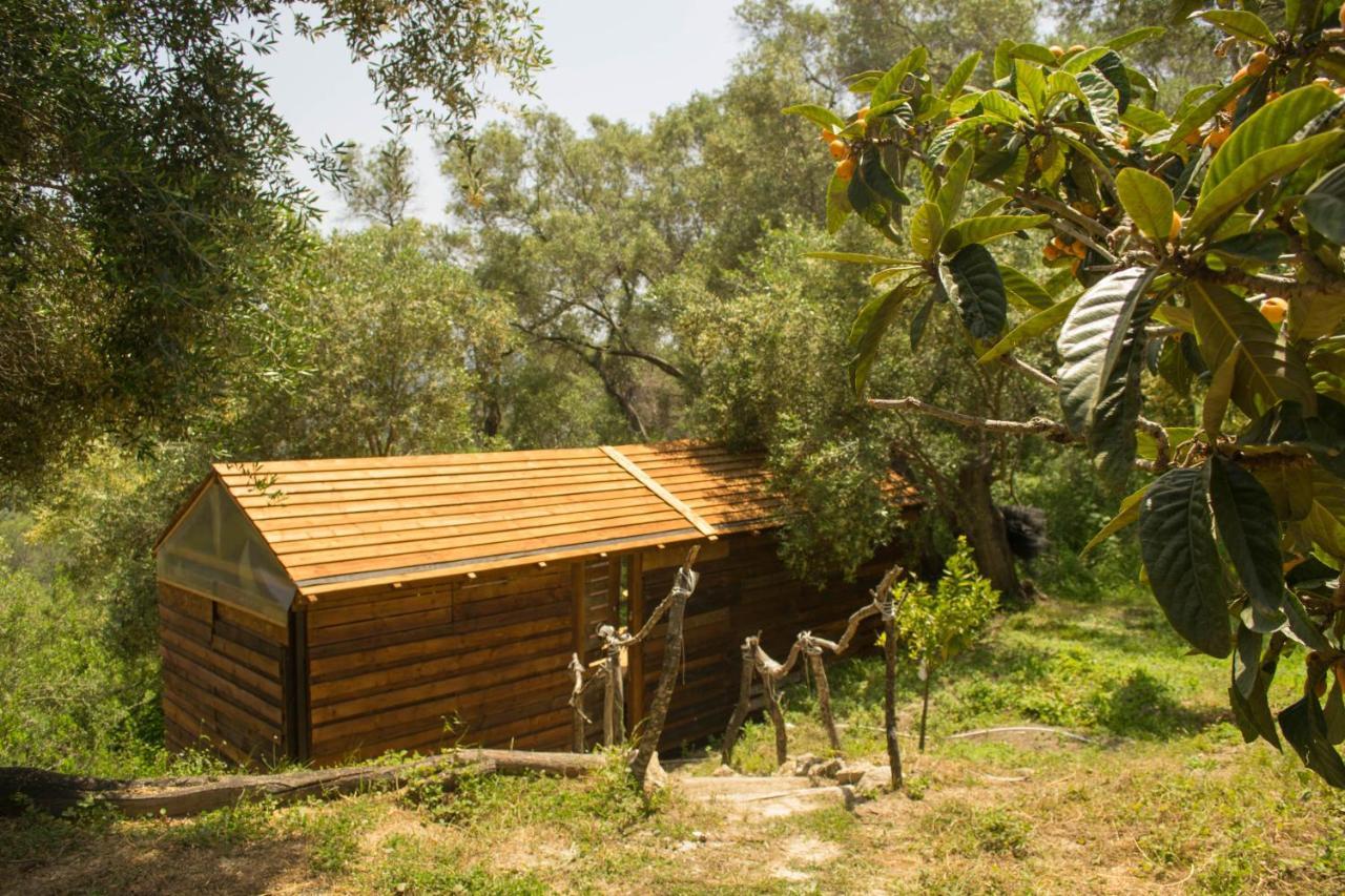 Pelekas Olive Grove Oasis Room No4 Extérieur photo